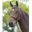 Kincade Cavesson Bridle II Brown